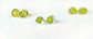 Raw Green Peridot stud earrings in unique 18k Gold setting